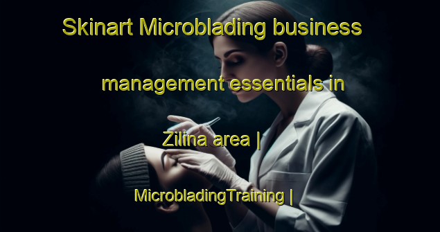 Skinart Microblading business management essentials in Zilina area | MicrobladingTraining | MicrobladingClasses | SkinartTraining-Czech Republic